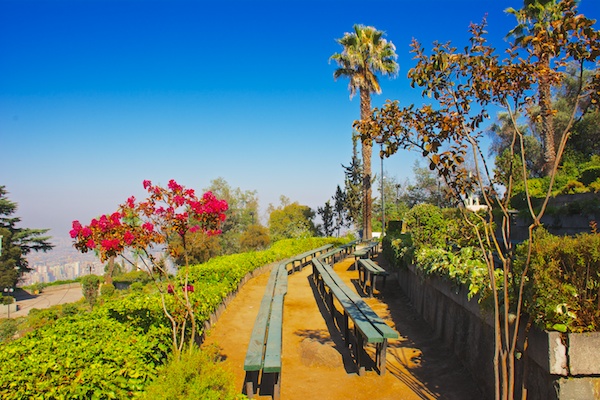 The Metropolitan Park