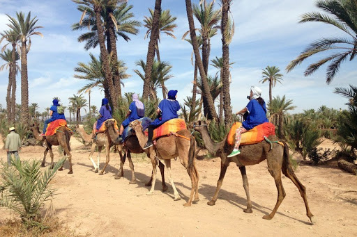 Sunset Camel Ride in the Marrakech Palmeraie